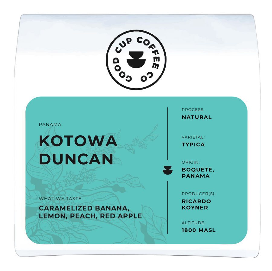 Panama Kotowa Duncan Typica Natural