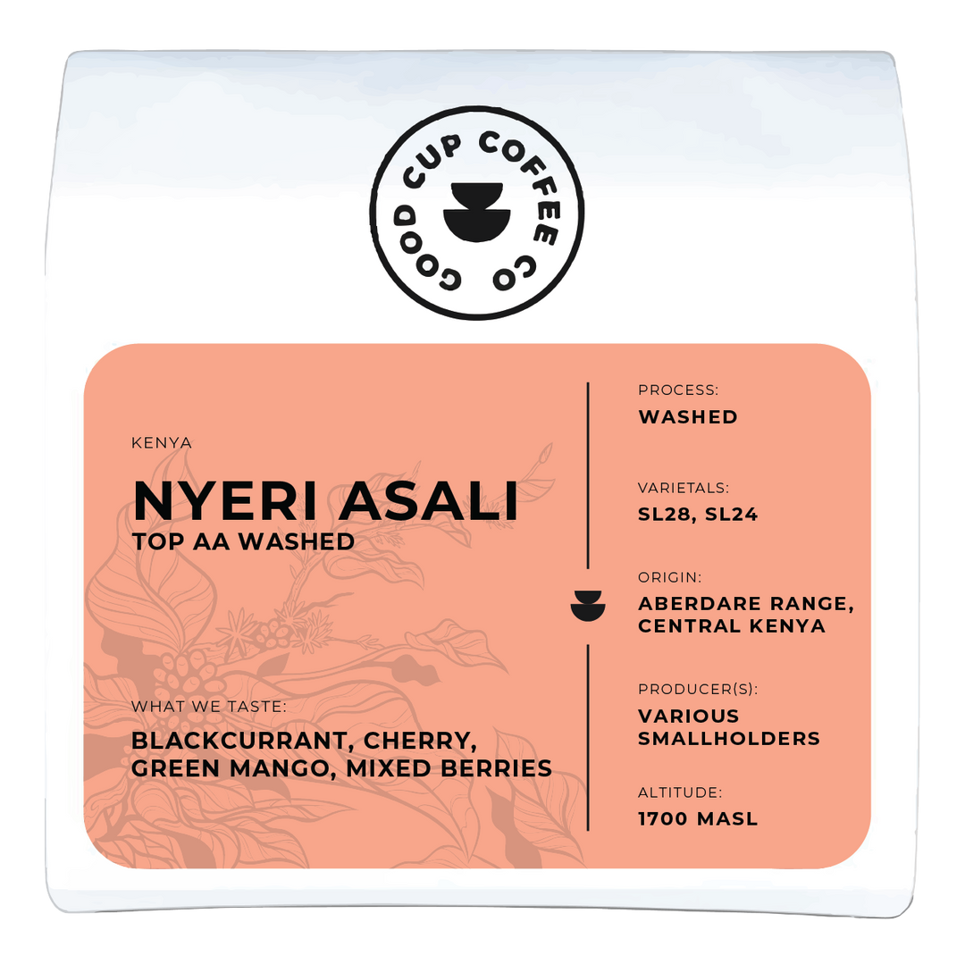 Kenya Nyeri Asali Top Washed
