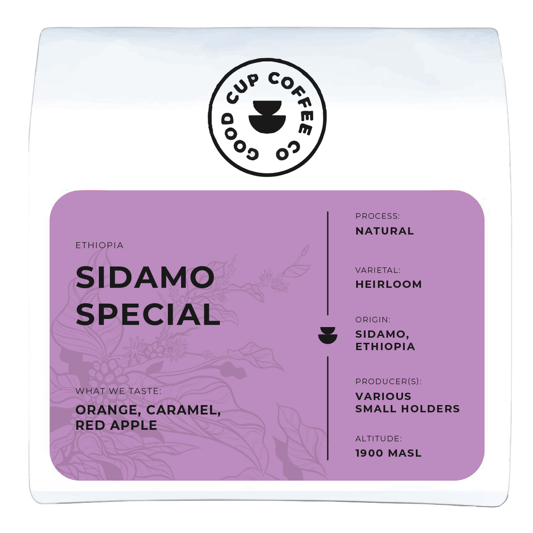 Ethiopia Sidamo Special
