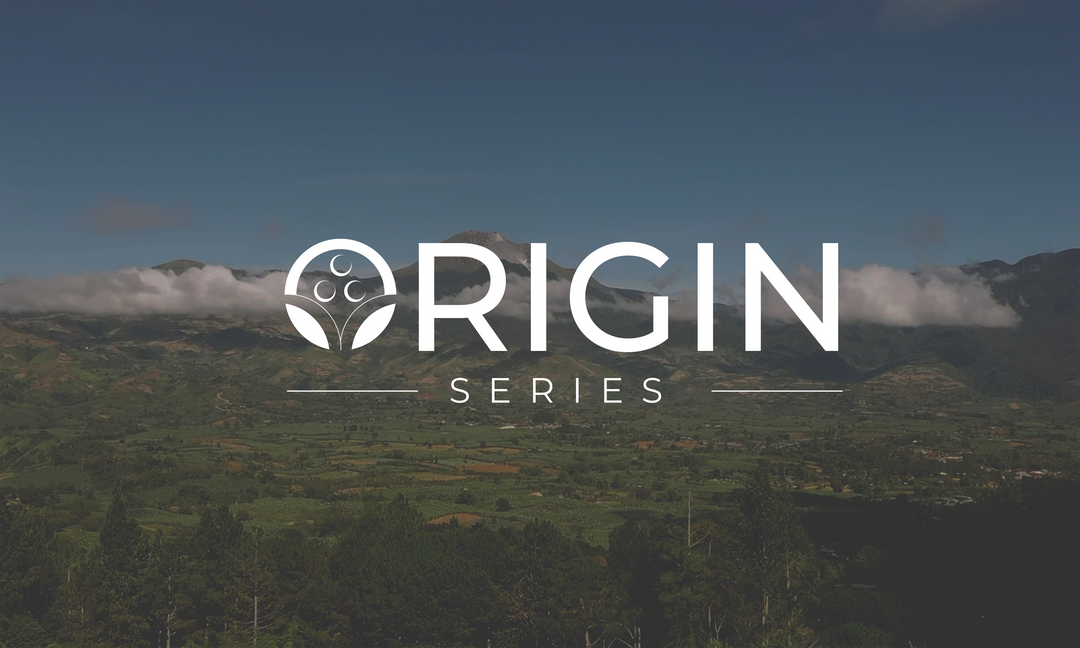 Origin Series: Davao del Sur & Bukidnon