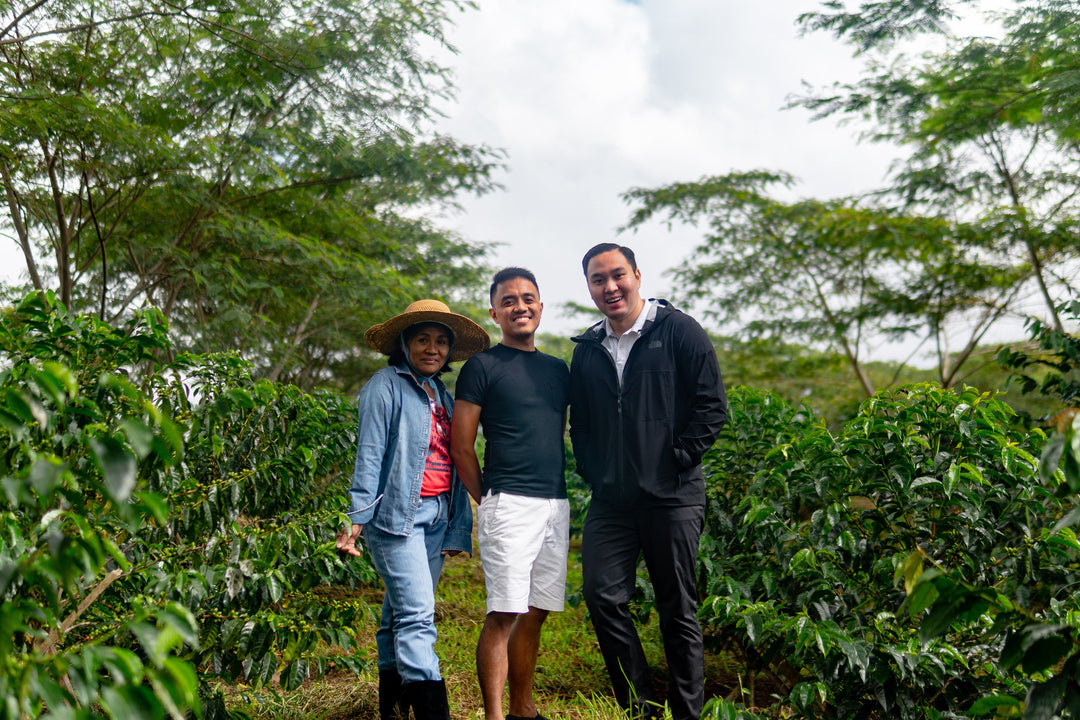 From Pandemic Project to Philippines' Best Coffee: The Finca de Garces Series
