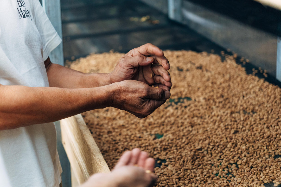 Kindness Contribution