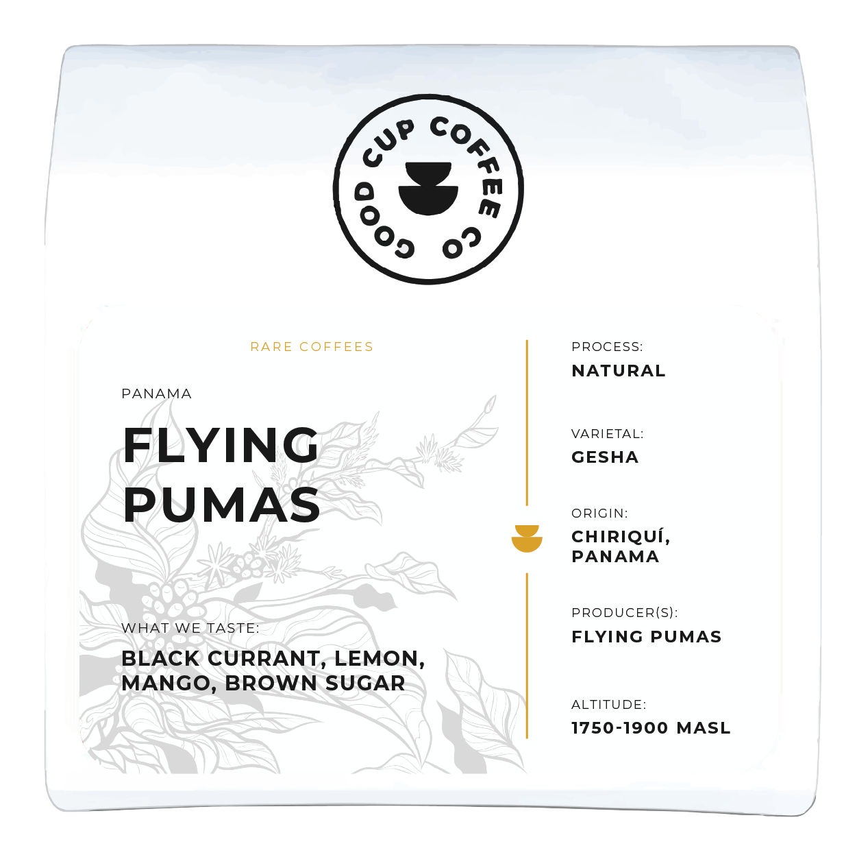 Drip Pack Assorted Bundle Good Cup Coffee Co.