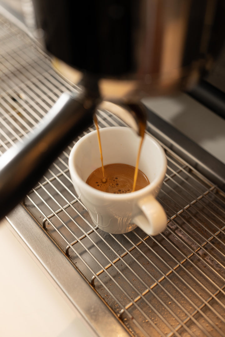 Barista: Foundation