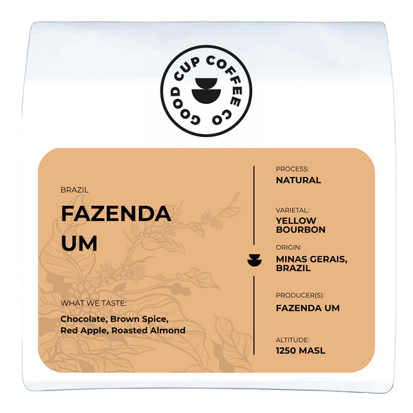 Brazil Fazenda Um Yellow Bourbon