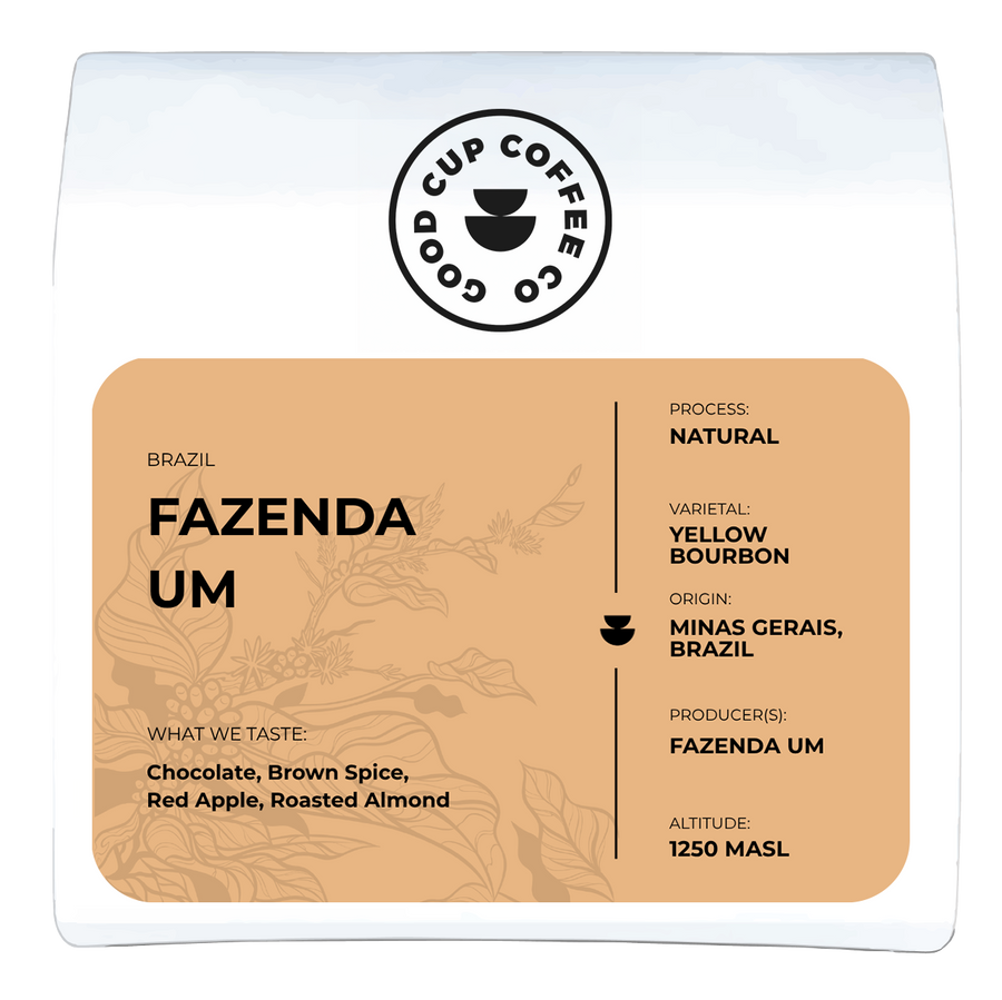 Brazil Fazenda Um Yellow Bourbon