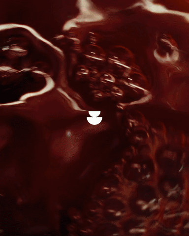 Behind The Scenes: A Brewers Cup Masterclass & Tasting