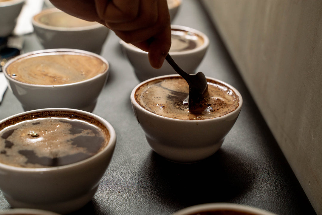 General Coffee Knowledge