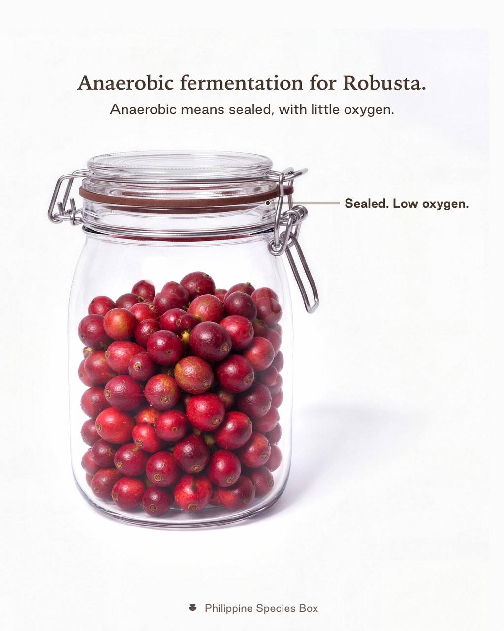 Philippine Species Box