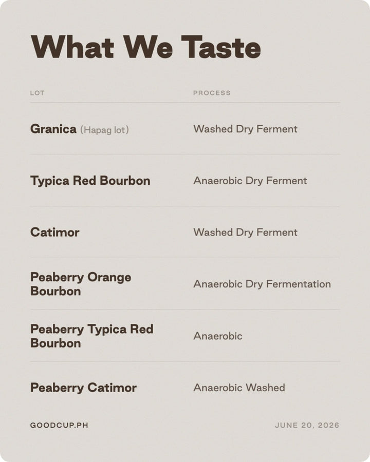 Agnep Heritage Coffee Farm Cupping (Free)