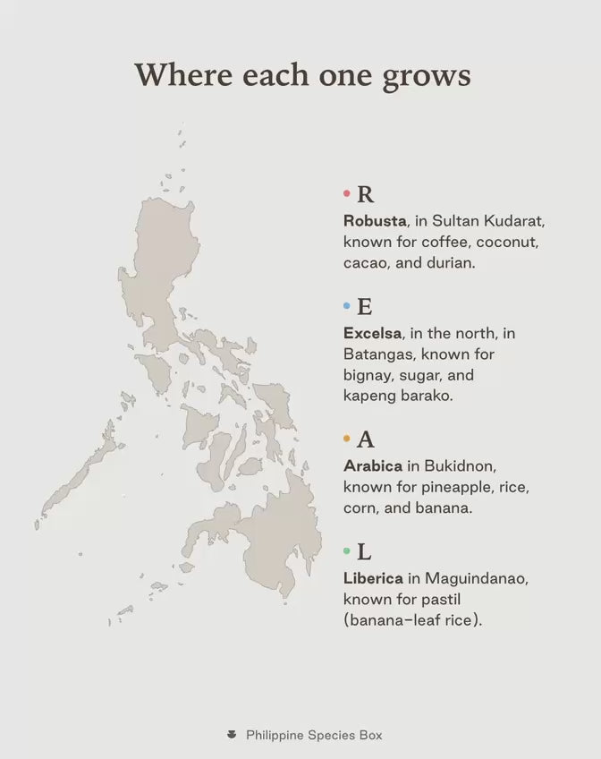 Philippine Species Box