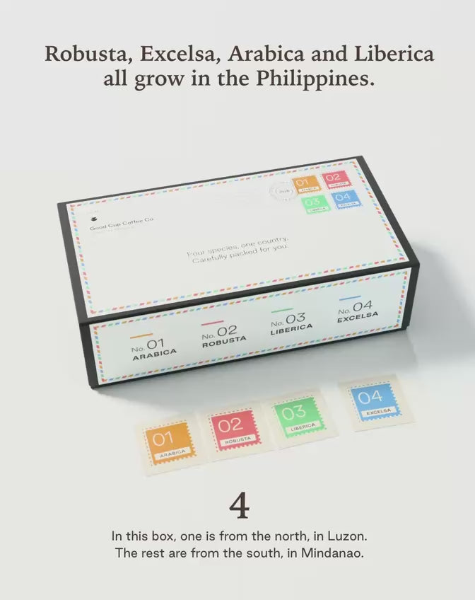 Philippine Species Box